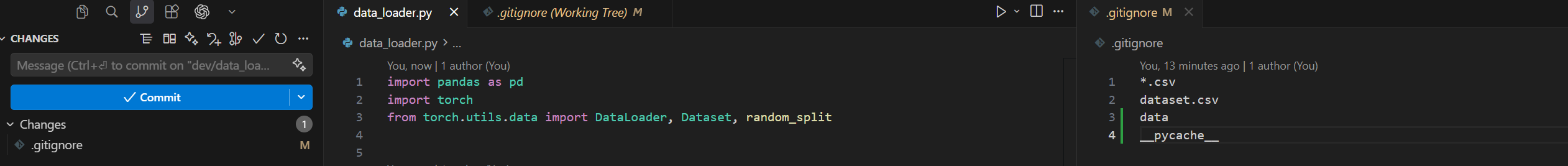 VS Code view of new files commited